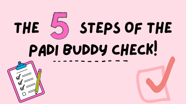 The 5 Steps Of The PADI Buddy Check – Complete Guide